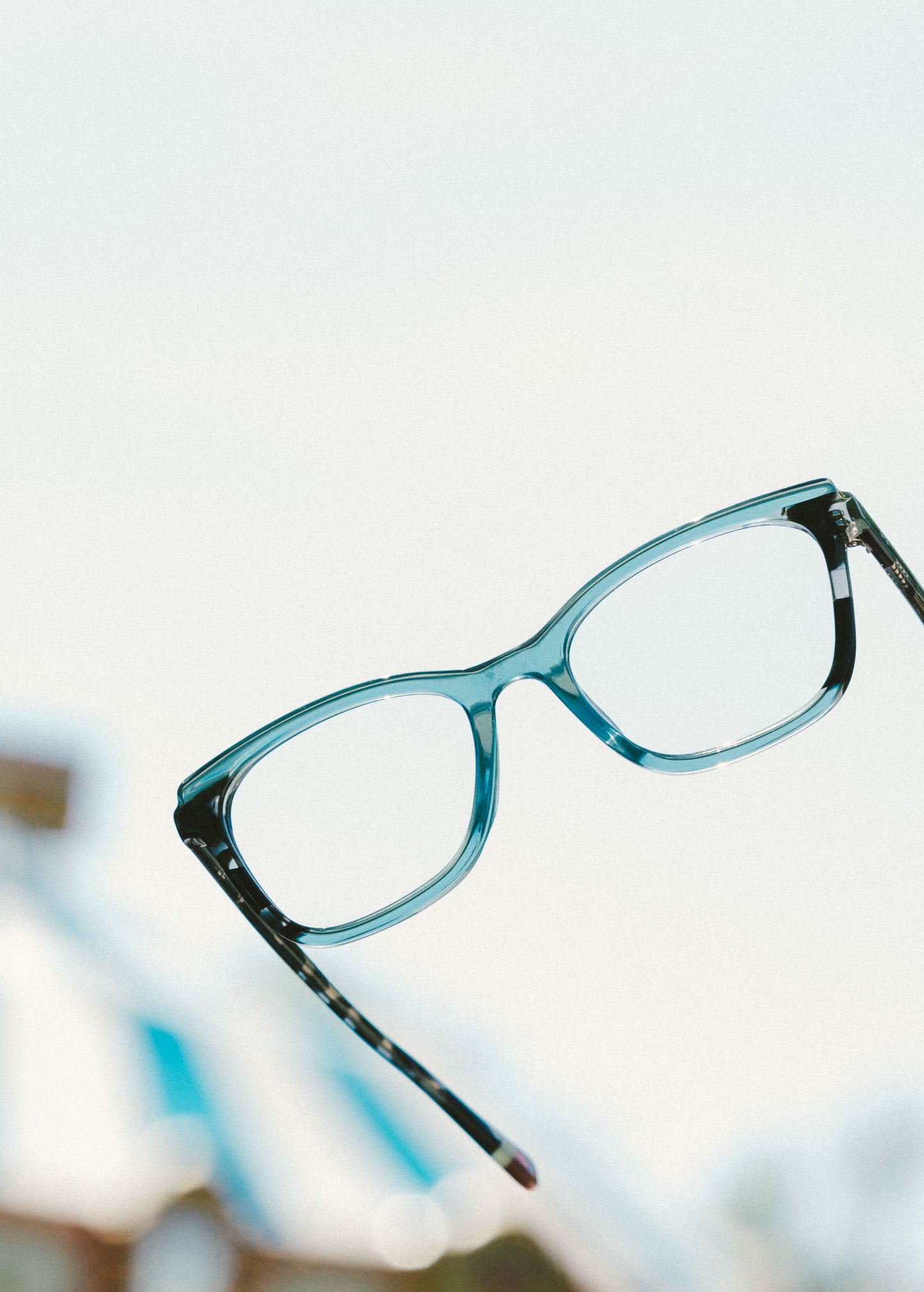 Meridian Designer Cat-Eye + Square Tortoise & Teal